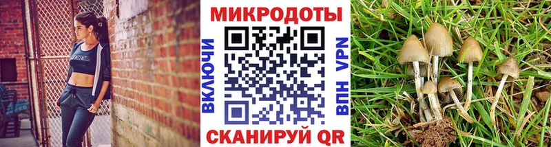 Псилоцибиновые грибы MAGIC MUSHROOMS Дзержинск