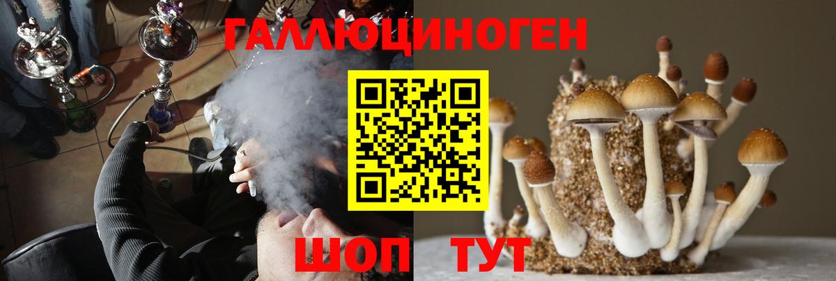 Галлюциногенные грибы MAGIC MUSHROOMS Дзержинск